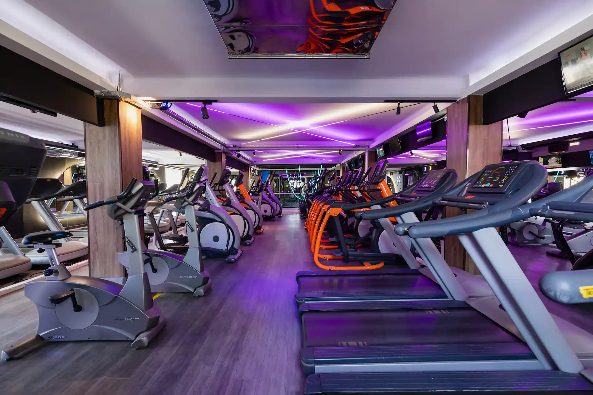 MAD GYM Equipment